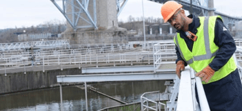 Water Plant