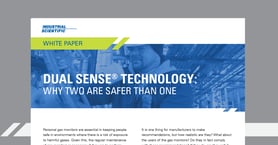 DualSense Technology - Why Two Are Safer Than One Image