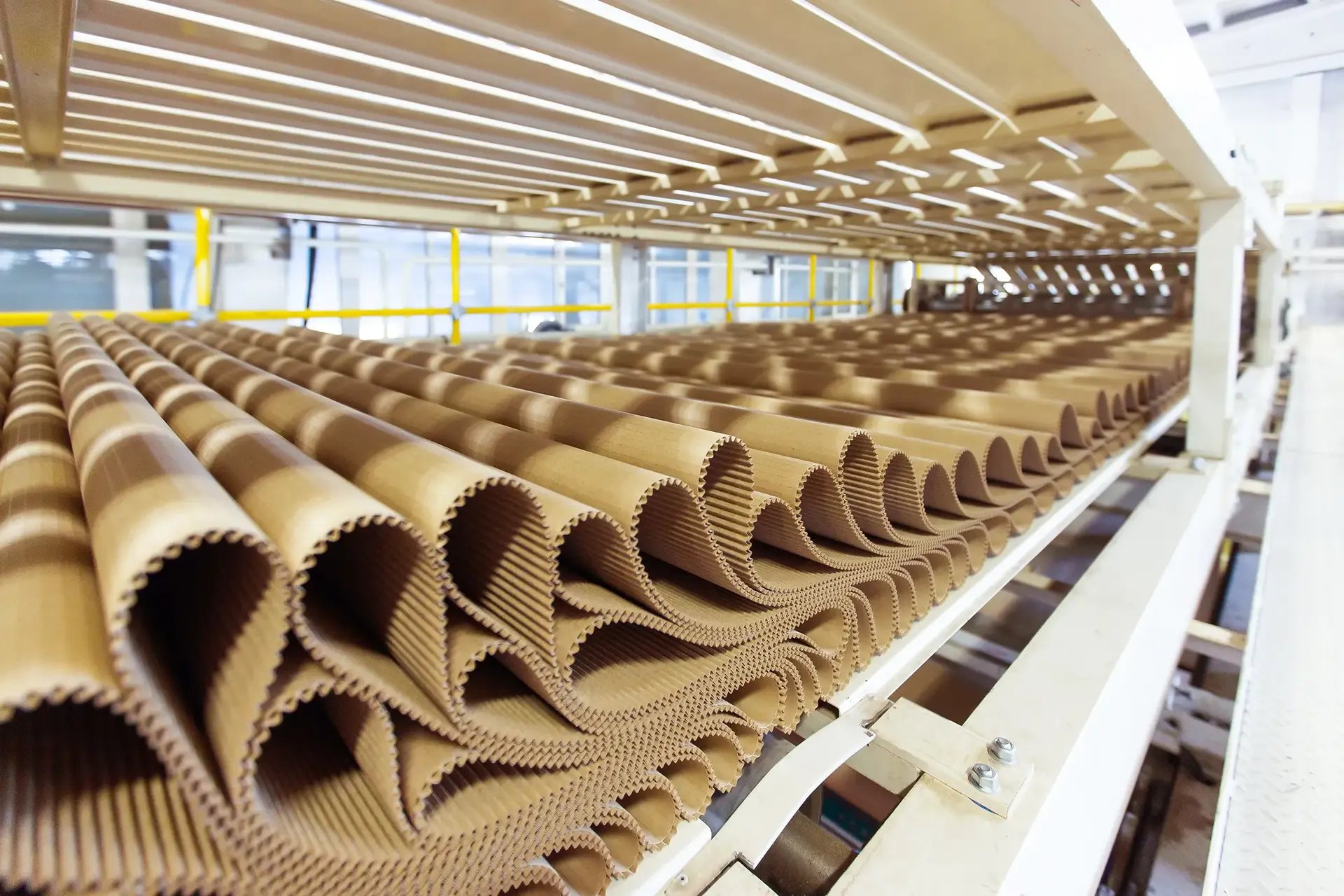 paper-and-pulp-1